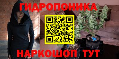 сатива Краснокаменск