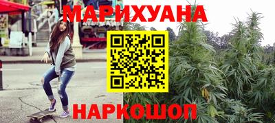 сатива Краснокаменск