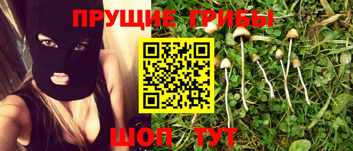Псилоцибиновые грибы ЛСД  Псилоцибиновые грибы Psilocybe  Тавда  Вход с VPN 